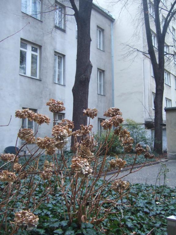 Vienna Top Comfort Apartment Esterno foto